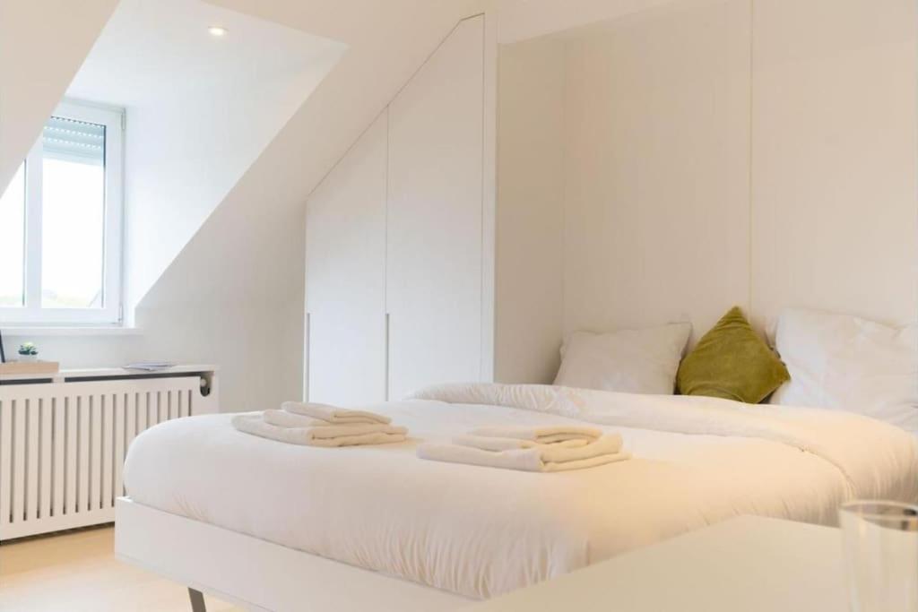 Fischer A La Petrusse 302 Appartement *